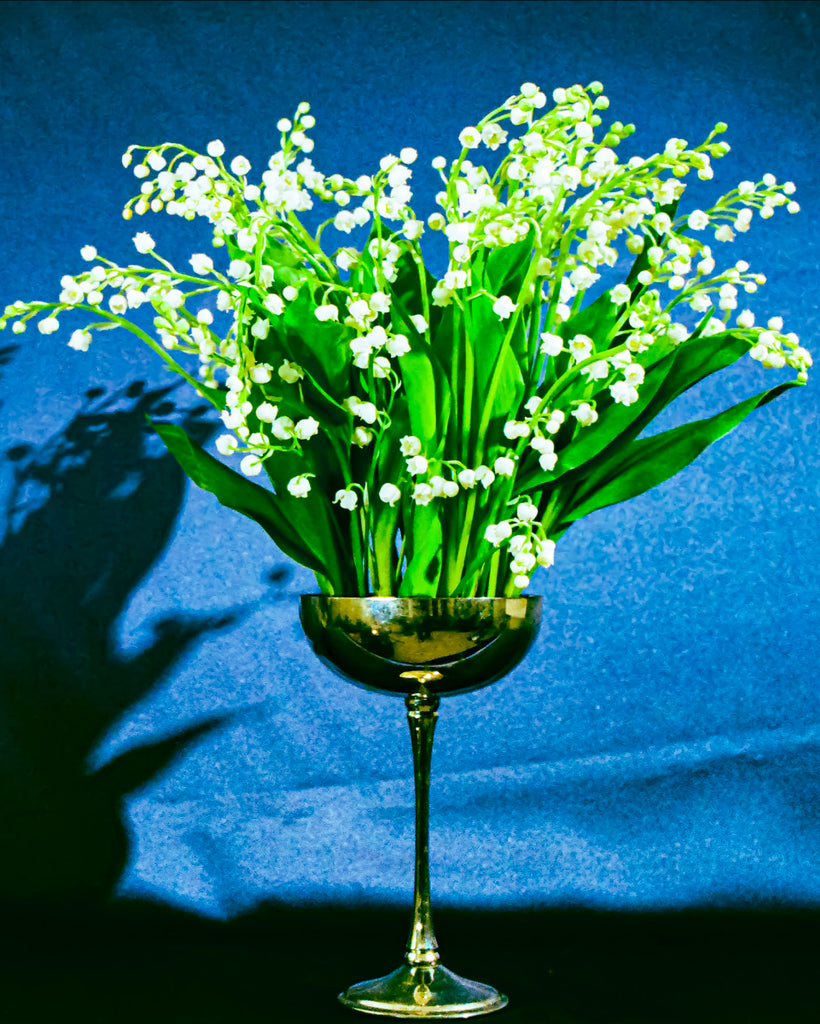 MUGUET