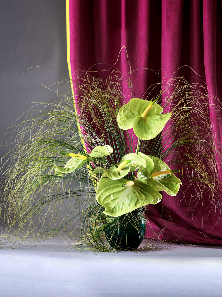 VIRIDIS