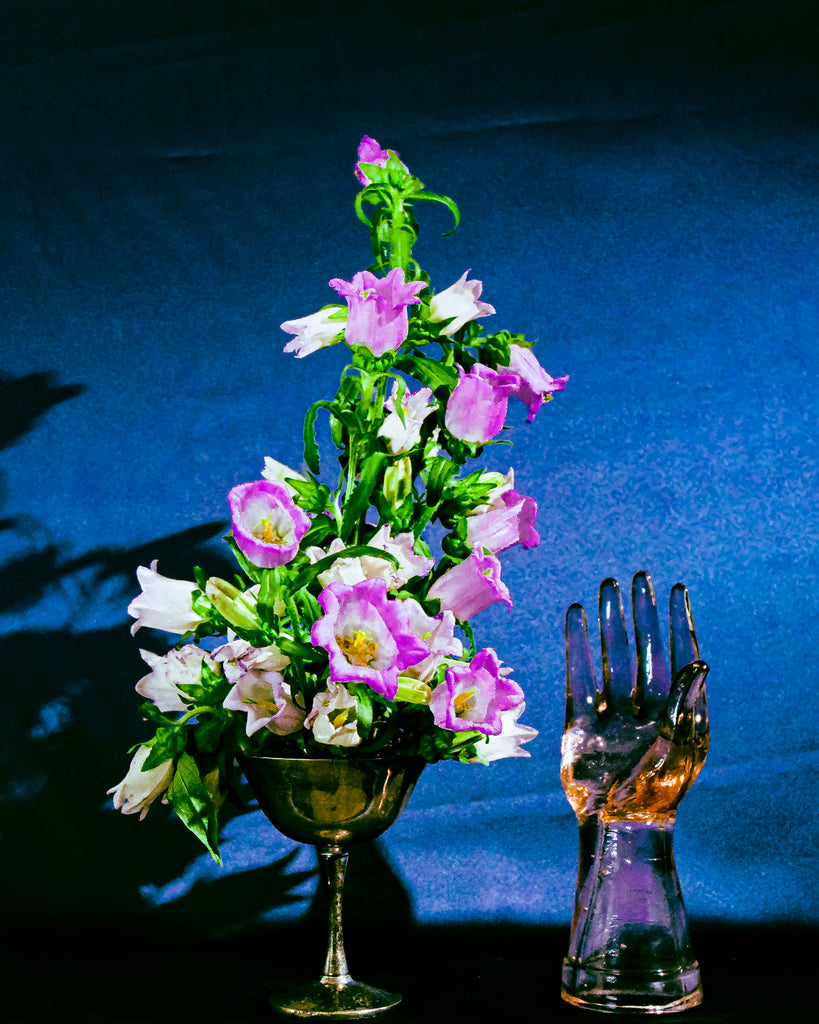 ENCHANTED FOREST: CAMPANULA ELEGANCE IN A VINTAGE SHERBET CUP