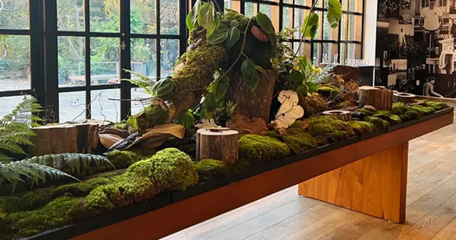 Long botanical installation featuring moss, logs and foliage on a raised wooden table beside windows.