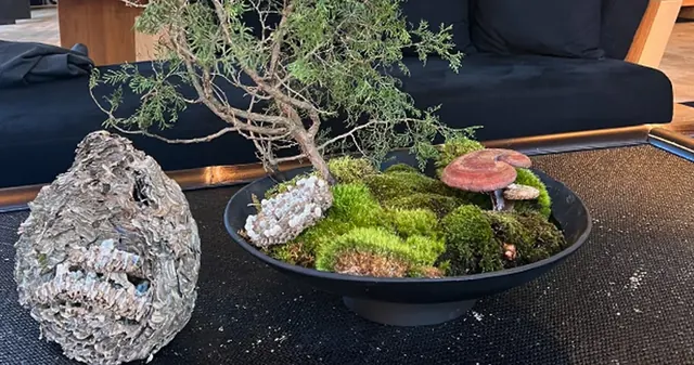 Miniature moss landscape with branches and mushroom forms in a low black bowl.