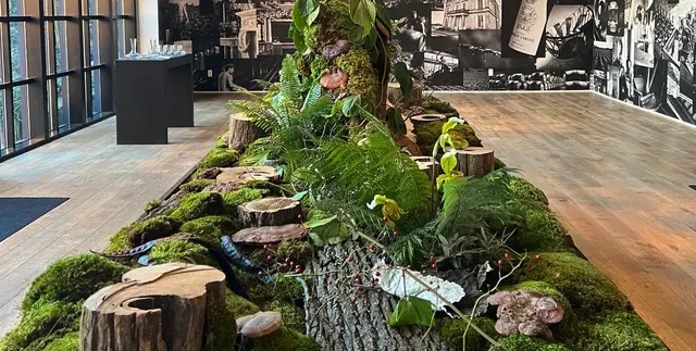 Immersive moss and fern installation with tree stumps and mushroom details across a wooden event floor.