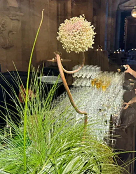 Textural grasses and a pale flowering stem beside rows of champagne glasses.