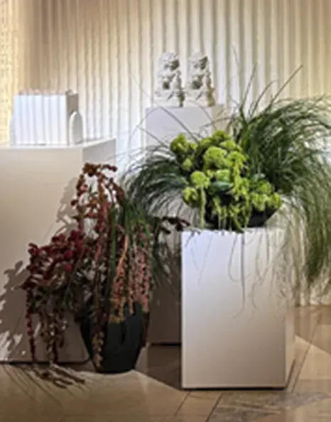 Sculptural arrangement of green grasses and amaranthus in a white pedestal vase.