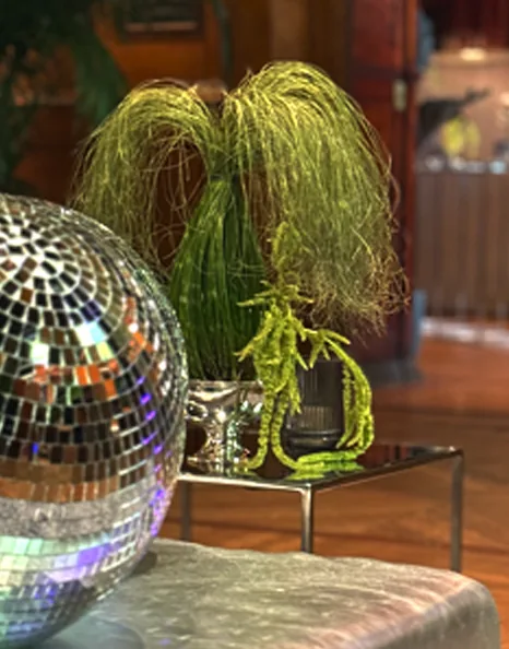A disco ball beside a weeping plant on a small table