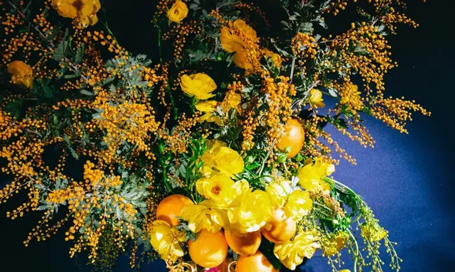A dense arrangement of yellow flowers and orange fruit with fine branching stems on dark blue.