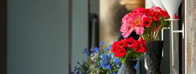 Pink and red anemones in sculptural black vases with blue delphiniums in the foreground, styled for an interior.