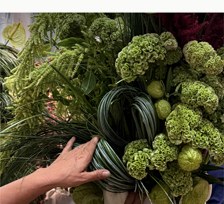 Hand arranging a green composition