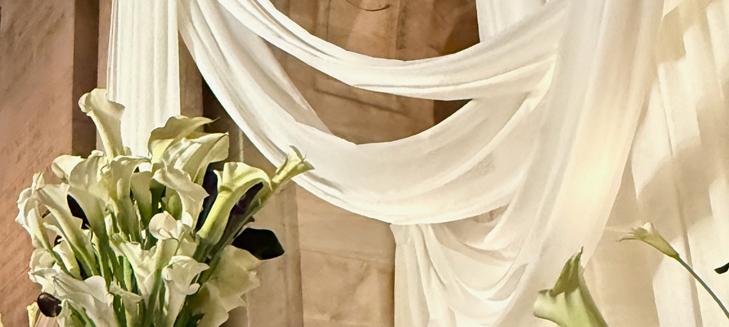 Calla lilies beneath draped ceremony fabric